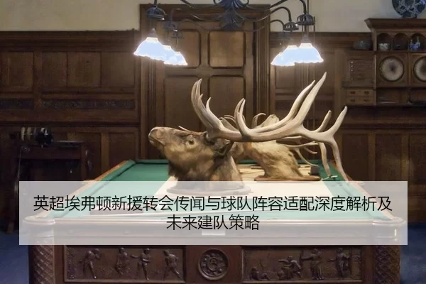 ying-chao-ai-fu-dun-xin-yuan-zhuan-hui-chuan-wen-yu-qiu-dui-zhen-rong-shi-pei-shen-du-jie-xi-ji-wei-lai-jian-dui-ce-lve-2-742.jpg